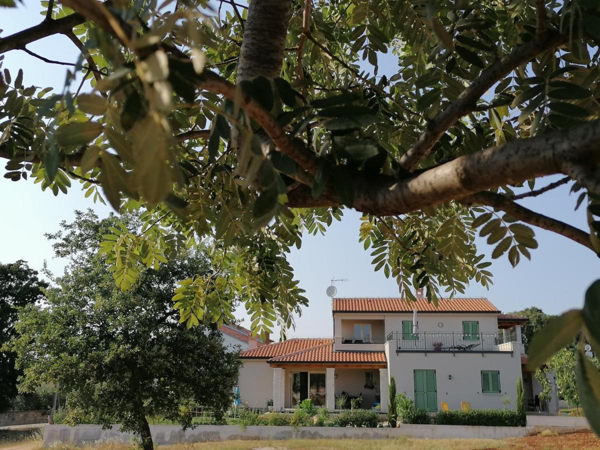 Ferienresidenz Lavandula Nova Vas  Εξωτερικό φωτογραφία